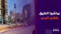 استمرار أعمال رفع كفاءة وتشجير شارع جامعة الدول العربية