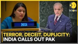 India Slams Pak at UN: India Replies To Shehbaz Sharif's Speech At UN General Assembly | WION