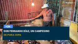Teletica.com