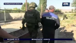 Zhambyl Region Man Hid Cannabis Plants Among Corn