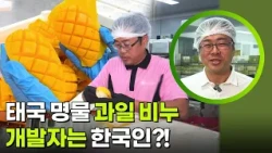 태국 명물 과일 비누, 개발자는 한국인? [생활의 발견] | KBS 260928 방송