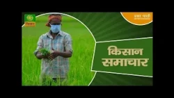 Kisan Samachar: Latest News of Agriculture | DD Kisan | Oct. 03 2026