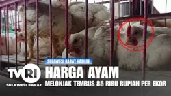 HARGA AYAM MELONJAK TEMBUS 85 RIBU RUPIAH PER EKOR
