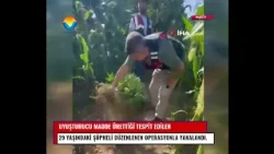 Muğla'da uyuşturucu operasyonu