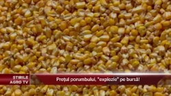 Corn prices “skyrocket” on the stock market! 10/01/2026