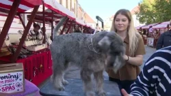 VTV Dnevnik 28. rujna 2026.