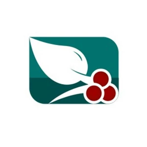 AlSaeedah Channel